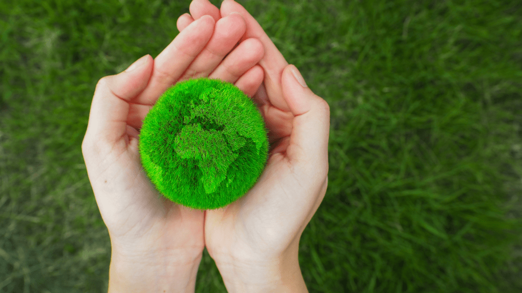 Creare valore con il green marketing? :: Sda Bocconi :: come è andata&nbsp;::1/3